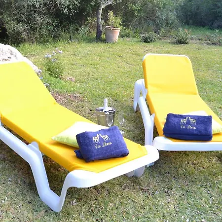 Can Llamas Rent Per Week بيت للعطل بويينسا
